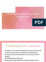 Orienta__es_para_aulas_pr_ticas_na_pandemia