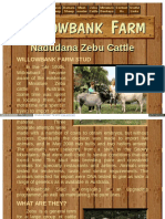 WWW Willowbankfarm Co NZ Williszebu HTML