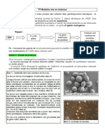 Fabi TP 5 Mutation Levure