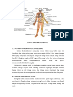 Anatomi Sistem Muskuloskeletal