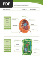 Reinforcement Worksheet 1: Name: Camila Ocampo Class: 9no "A" Date: 21/10/2021