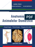 Anatomia Animalelor Domestice 