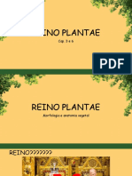 Reino Plantae 2