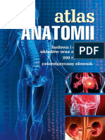 Atlas Anatomii Człowieka - Książka Edukacyjna