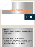 Refleks Fisiologis dan Patologis