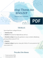 Thorax BNO IVP
