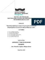 Ensayo Marketing Digital para Mejorar La Percepción Del Rol de Los Fisioterapeutas en El Área de Salud en Huancayo. Final Grupo 1