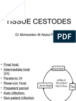 Tissue Cestodes Concise Pharmacy