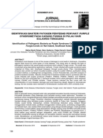 Jurnal: Identifikasi Bakteri Patogen Penyebab Penyakit Purple Sulawesi Tenggara