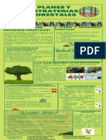 Planes y Estrategias Forestales