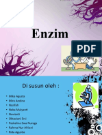 p.point Enzim