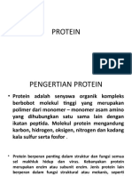 Materi Protein