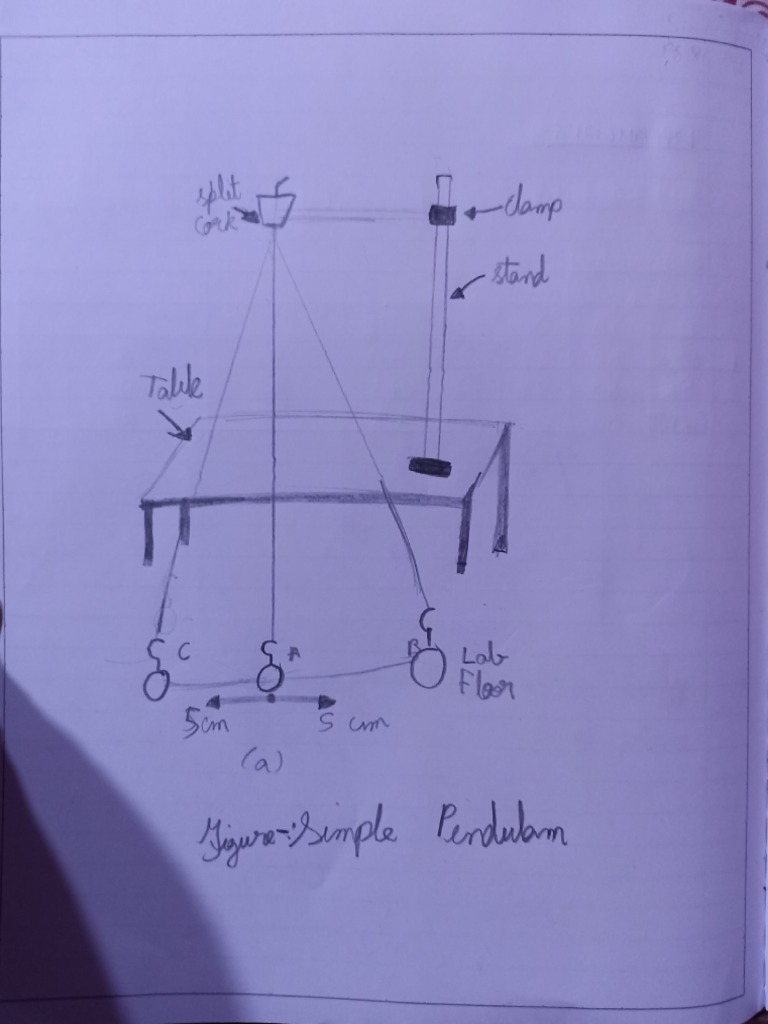 Simple Pendulum Experiment Setup | PDF