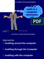 Auditing in Computer Environment