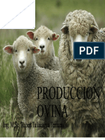 Producción ovina: guía completa