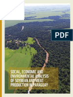 Social Economic and Environmental Analysis of Soybean and Meat Production in Paraguay 2