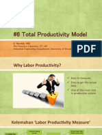 P6 - Anprod - Total Productivity Model