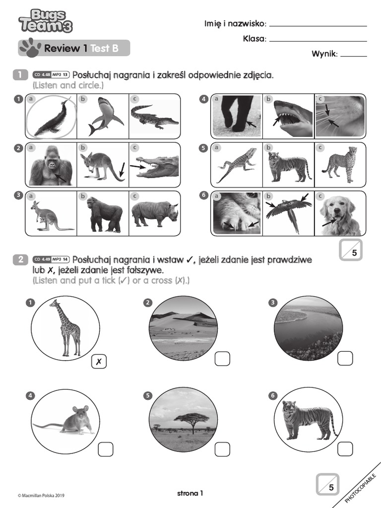 Bugs Team 3 Unit 3 Pdf