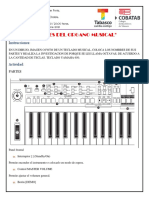 Partes Del Organo Musical