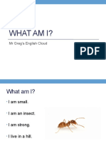 What Am I Insects