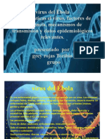 Virus Del Ébola