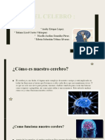 El Cerebro