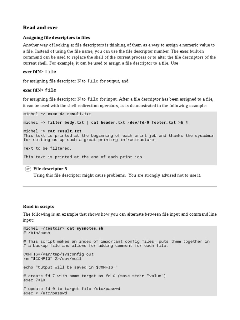 Read and Exec Assigning File Descriptors To Files PDF Utility