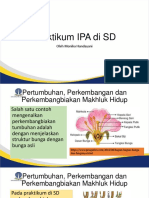 Sesi 8. Praktikum IPA Di SD Sesi 8