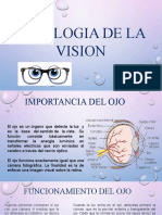 Fisiologia Vision