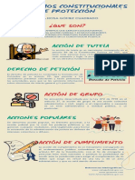 Infografia Mecanismos Constitucionales de Proteccion