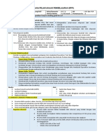 Analytical Example RPP