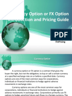 Currency Option or FX Option Introduction and Pricing Guide: Finpricing
