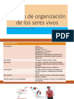 Niveles y Celula PDF