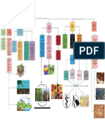 Mapa Conceptual de Desarrollo