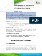 Protocolo para el desarrollo del componente práctico (2)