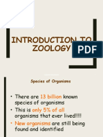 Intro Zoo Notes