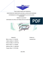 Epidemiología Descriptiva - Ensayo Grupal.