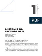 Anatomia Da Cavidade Oral