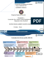 Espina de Pescado Contaminacion Ambiental