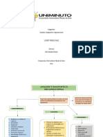 Mapa Conceptual Analisis