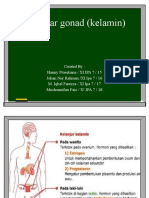 Kelenjar Gonad (Kelamin)