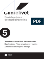 Clinfelivet 5