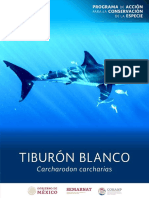 PACE Tiburon Blanco