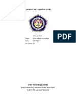 PDF Laporan Praktikum Kimia 25022021