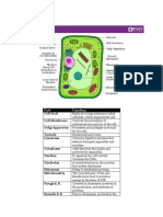 CET - Biology - Plant Cell