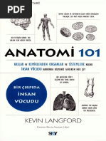 Temel İnsan Anatomisi E-Kitabı | PDF