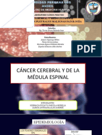 Cáncer Cerebral y Médula Espinal