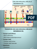 Fisiologi Sel 2