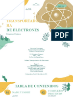 CadenaTransportadoraDeElectrones-Equipo6