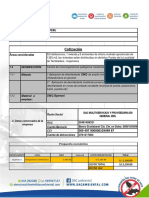 Consorcio Puentes Peru: Cotización